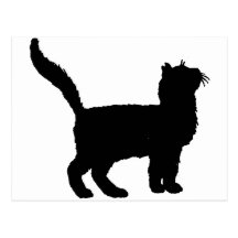 Kitten Tshirts and Gifts 369 Postcards