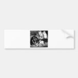 Kitten Tshirts and Gifts 370 Bumper Stickers