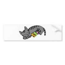 Kitten Tshirts and Gifts 471 Bumper Stickers