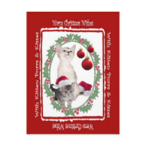 Kitten Warm Christmas Wishes Postcard