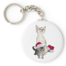 Kitten Wishes For A Purrfectly Wonderful Christmas