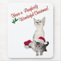 Kitten Wishes For A Purrfectly Wonderful Christmas