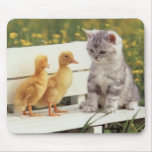 kitten with ducks mouse pads