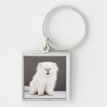 Kitten with Eyes Closed Keychains
