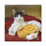 Kitten With Toy Tiger Magnet