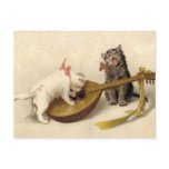 Kittens and the Mandolin Postcards