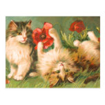 Kittens at Play Postcard