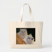Kittens come play bags