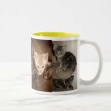 Kittens Cup 4 Mugs