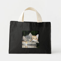 Kittens in a Bucket Bag