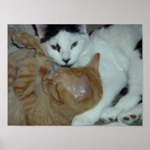 Kittens in Love Print