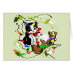 Kittens N Lights cardP