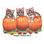 Kittens on Pumpkins for Halloween Post Cards