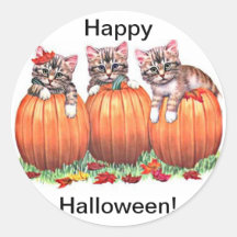 Kittens on Pumpkins for Halloween Stickers