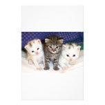 Kittens Personalized Stationery