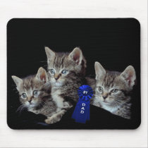 Kittens With Unbelievable Blue Eyes mousepads