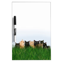 Kitties in grass dry erase boards