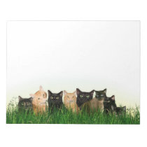 Kitties in grass notepads