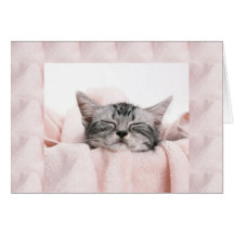 Kitty and blanket greeting card