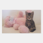 kitty and teddy Stickers