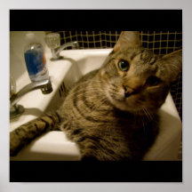Kitty Bath Poster