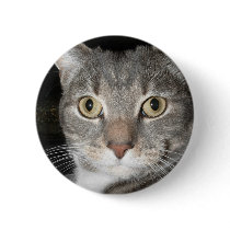 Kitty button