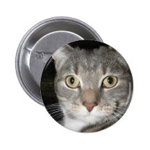 Kitty button