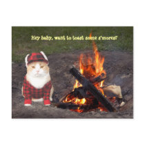 Kitty Campfire Postcards