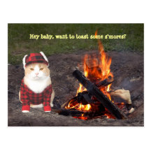 Kitty Campfire Postcards