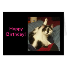 Kitty Cat Birthday Card