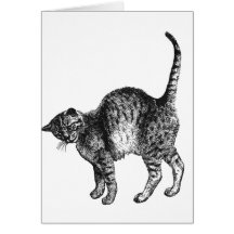 Kitty  Cat Card