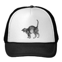 Kitty  Cat Mesh Hats