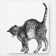 Kitty  Cat Mousepads
