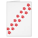 Kitty Cat Paws Greeting Cards