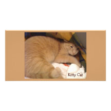 Kitty Cat Photo Card