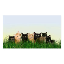 Kitty cats in the grass business cards