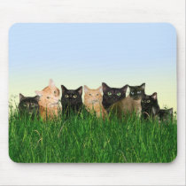 Kitty cats in the grass mousepads