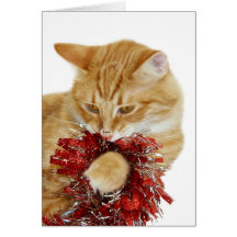 Kitty Christmas card