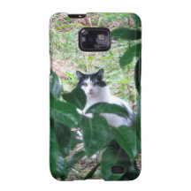 Kitty dans le feuille coque galaxy s2