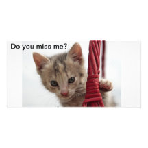 Kitty Do you miss me card Photo Cards