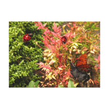 Kitty fairy hunting ladybug in trouble canvas stretched canvas print