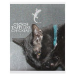 KITTY FAST FOOD FLYER DESIGN