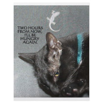 KITTY FAST FOOD FLYERS