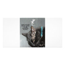 KITTY FAST FOOD CUSTOMIZED PHOTO CARD