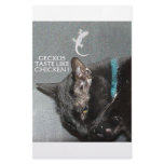 KITTY FAST FOOD stationery