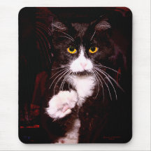 Kitty Greetings Mousepad