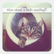 Kitty Hut Close Up Photo Stickers