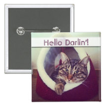 Kitty Hut Close Up Photograph Button