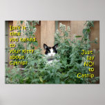 Kitty_In_Catnip posters