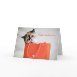 Kitty In Shopping Bag Mother's Day Card